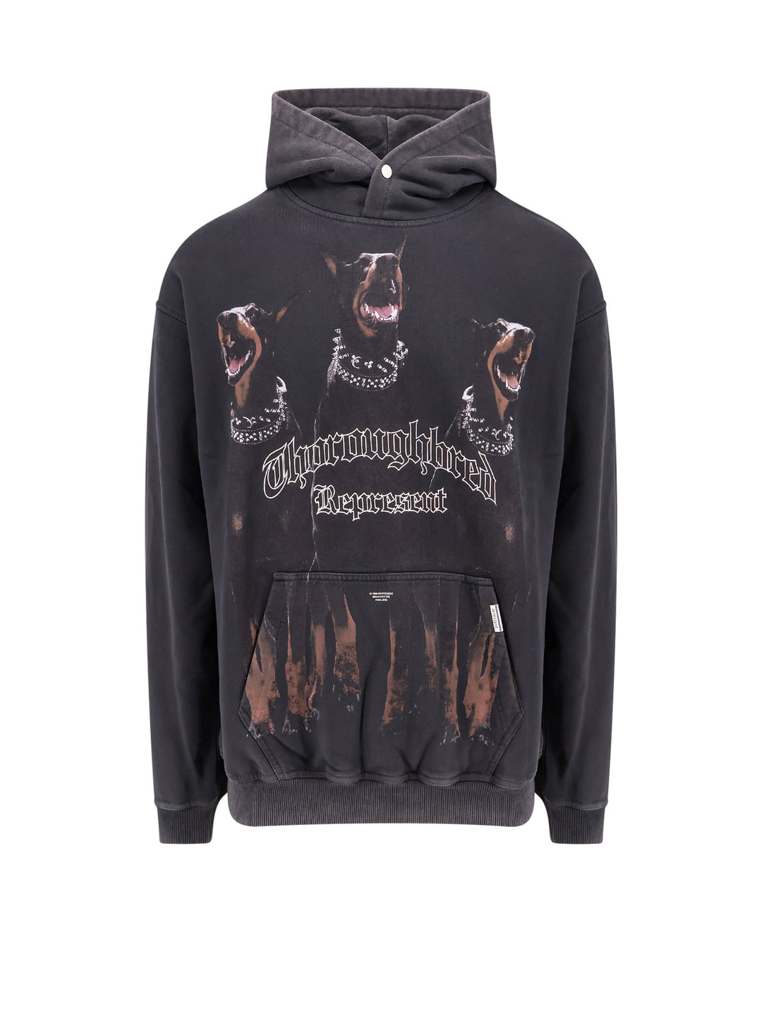 Cotton sweatshirt with frontal Thoroughbred print