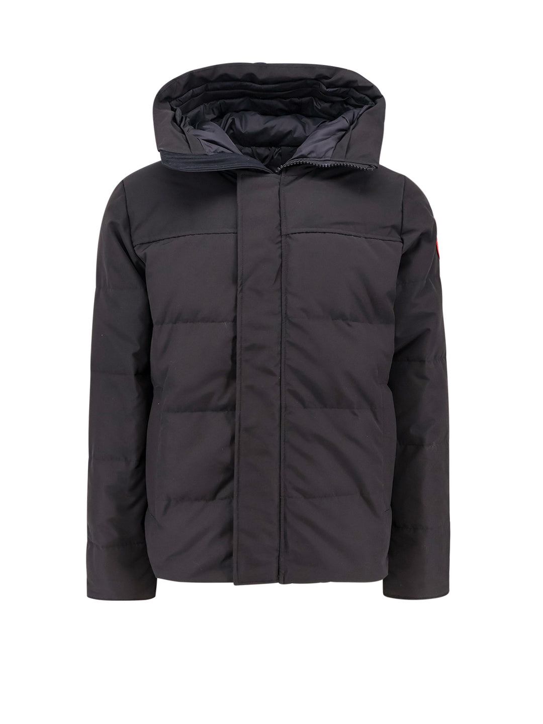 Padded and quilted hooded jacket