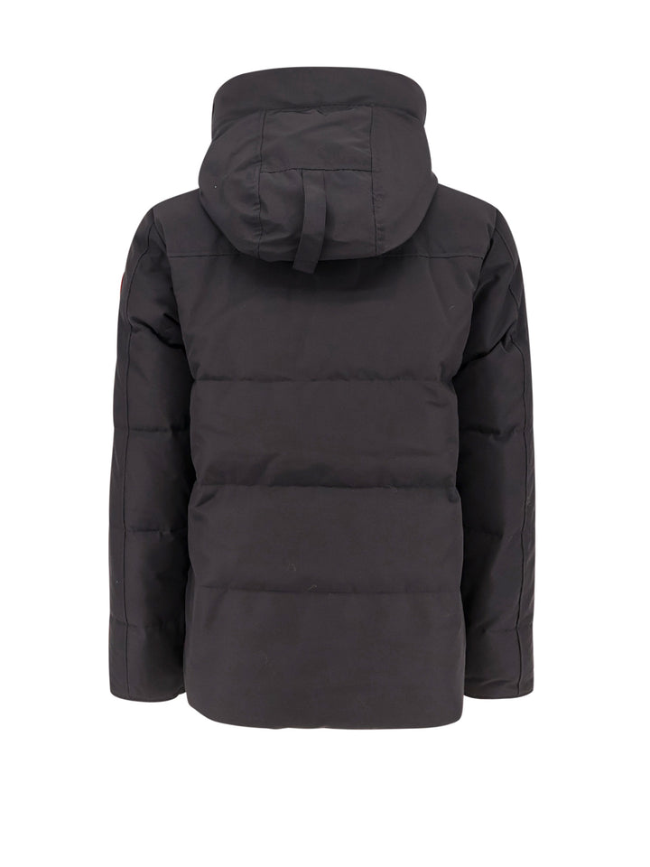 Padded and quilted hooded jacket