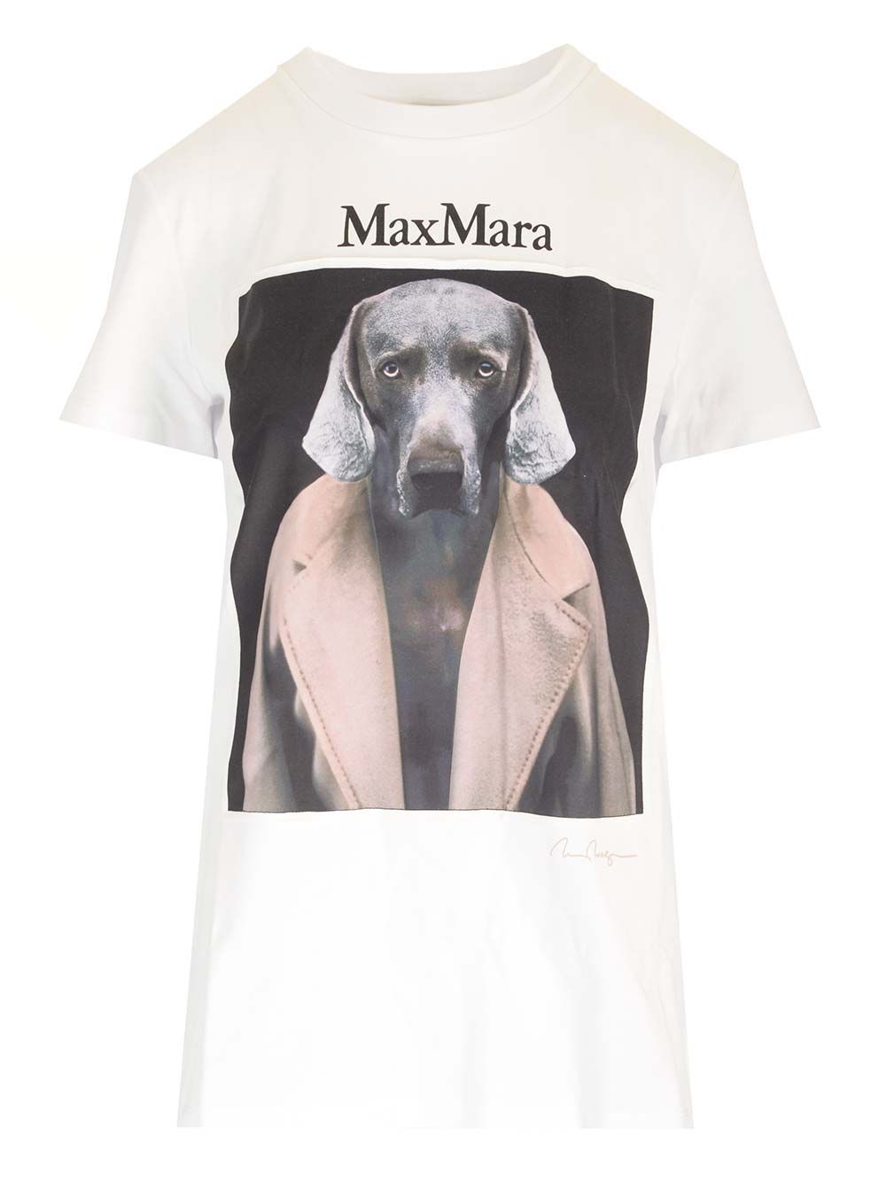 Max Mara Cotton Jersey T-Shirt - White | aa087e045765be6904b074ee3dc3dcfb00f9f553