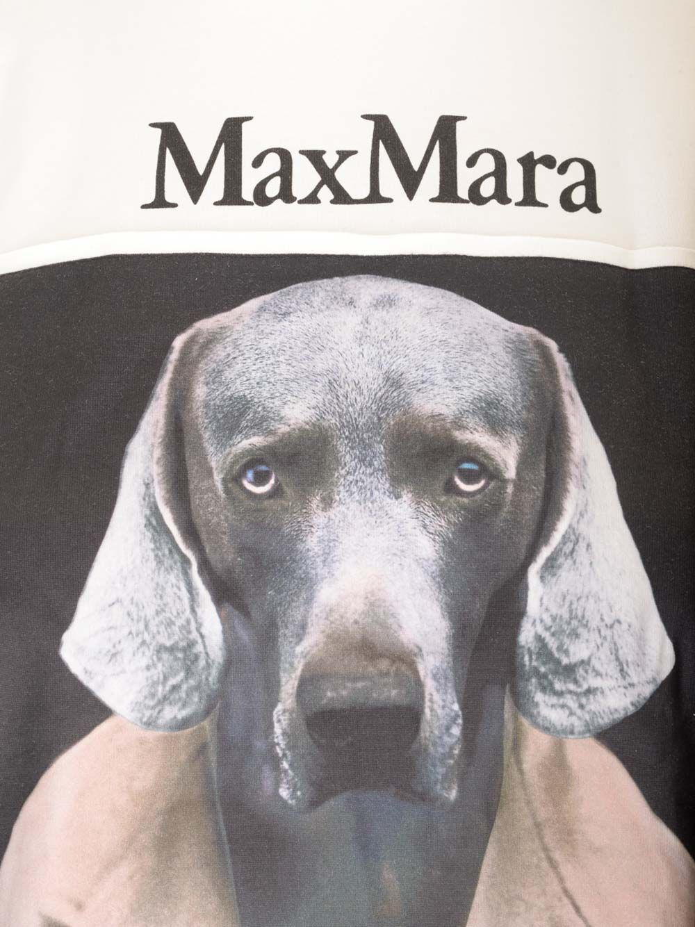 Max Mara Cotton Jersey T-Shirt - White | 2c2fff3bdd0c2cc93aaa4d679d83adcb18528c38