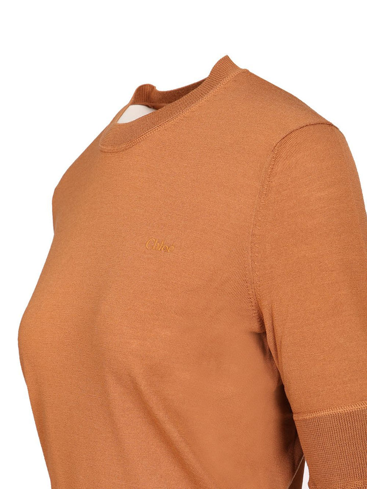 Chloe' Short-Sleeved Sweater Knitwear - Brown | 10afd55c78788533fea262695ec577ef8c03a7a5