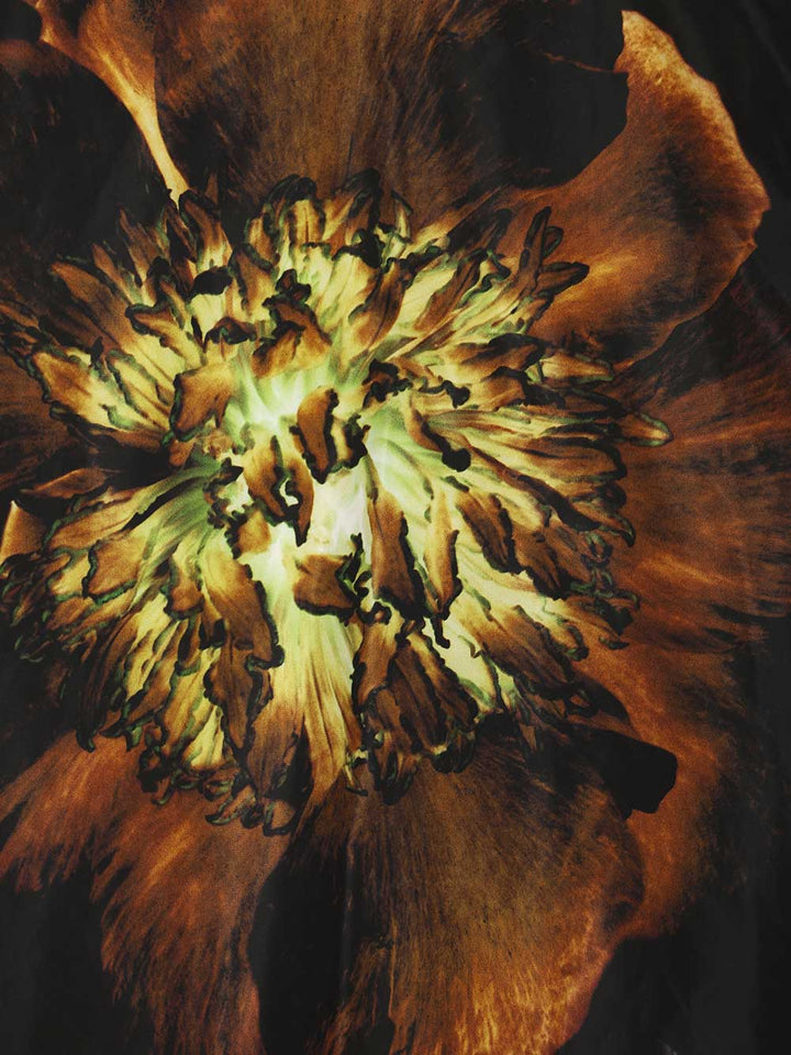 Dries Van Noten Printed Velvet Bomber Jacket Knitwear - Grey | b5a13ec93c98c1857c76d5fffd40aaa44b898a7a