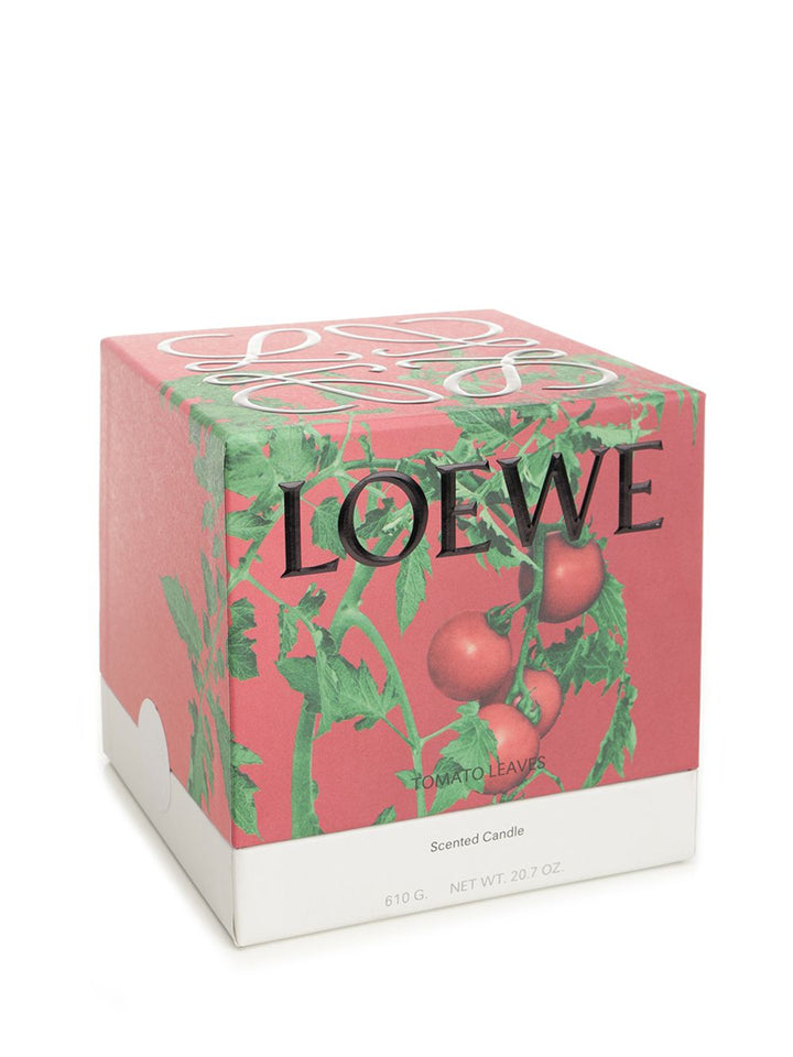 Loewe Medium Tomato Leaves Candle arredamento - Red | 5d67fcf0a87be9faf1c386c9077be71a46eeb86f