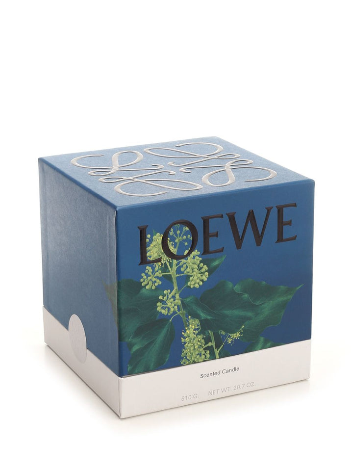 Loewe Medium Ivy Candle arredamento - Rose | e7b5922db703ade794ae04c53f1137f300c2e88c