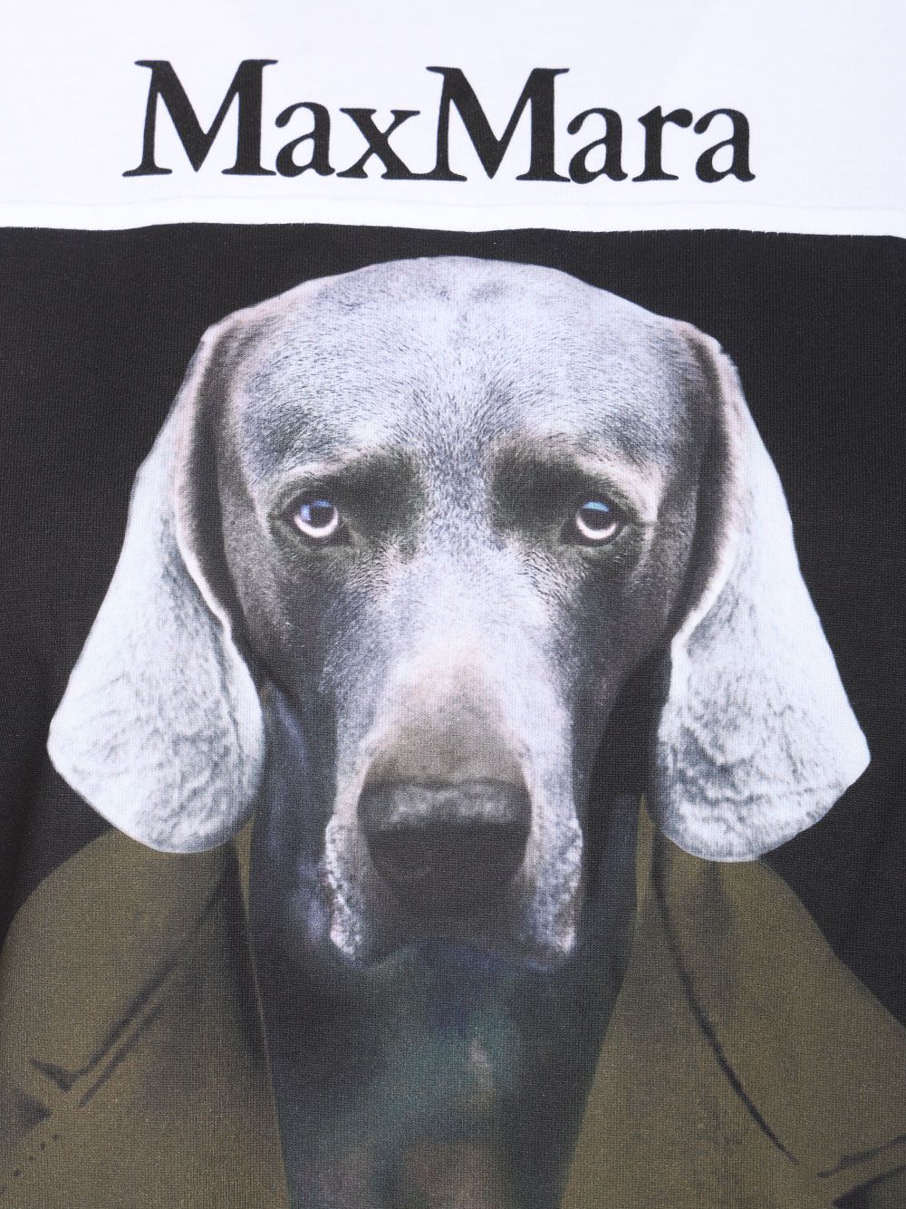 Max Mara Calca Tshirt Cotone Dog Print Khaki Coat T-Shirt - White | 41ef363972ef657eb360e80ab82a68a33c55e54f