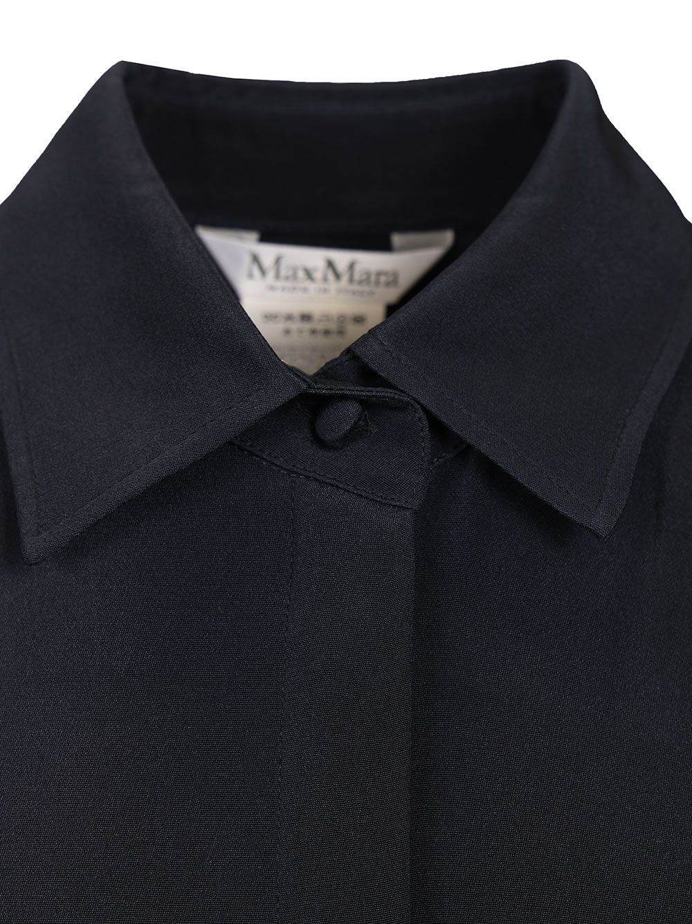 Max Mara Shirt In Silk Crêpe De Chine Shirts - Blue | 0207802bb155e41a9f5ba3f5853f1ef51fa561ca