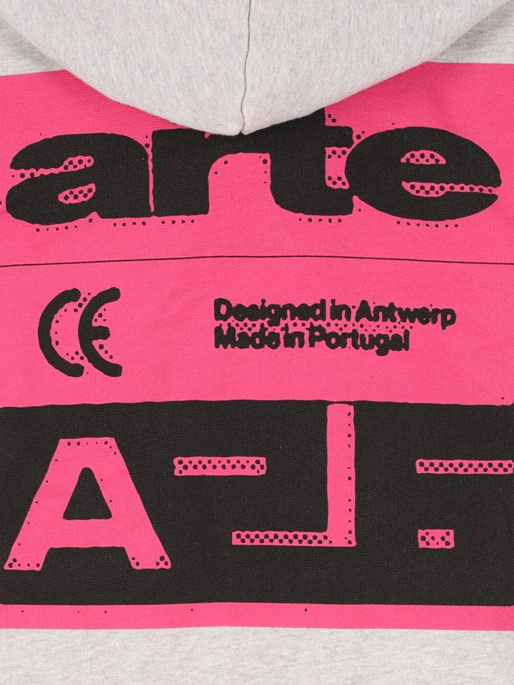 Arte Pink Back Print Hoodie Sweatshirts - Grey | 41ed12afea953b6779edca9c18790c8d33ddfd1c