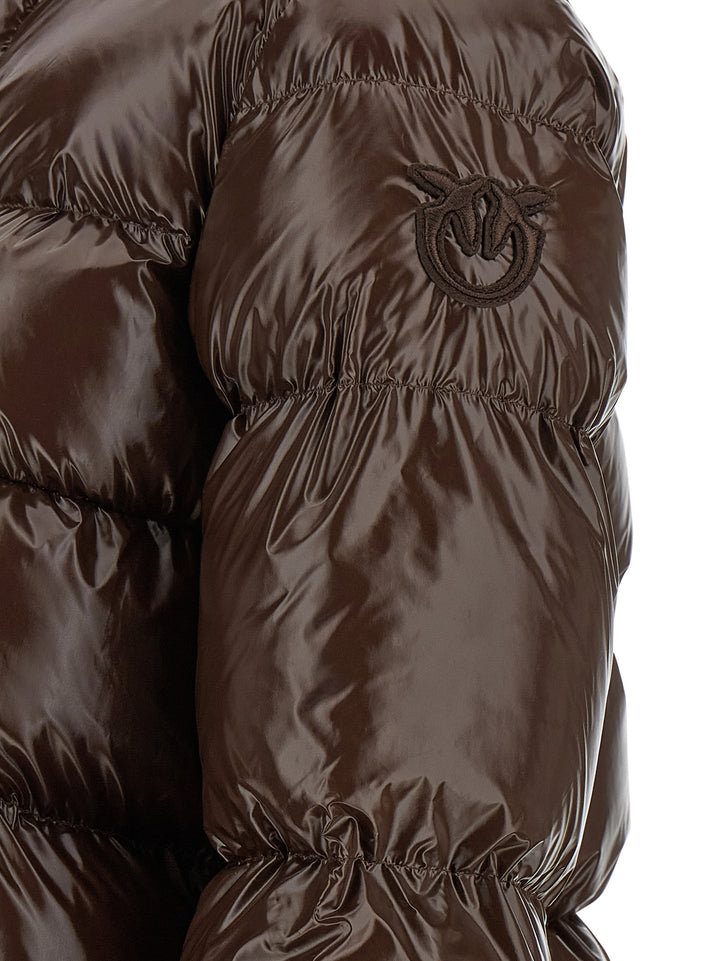 Pinko Eleodoro Puffer Jackets - Brown | 1a6d6c288005f31282724b091759b74d2a0efea7