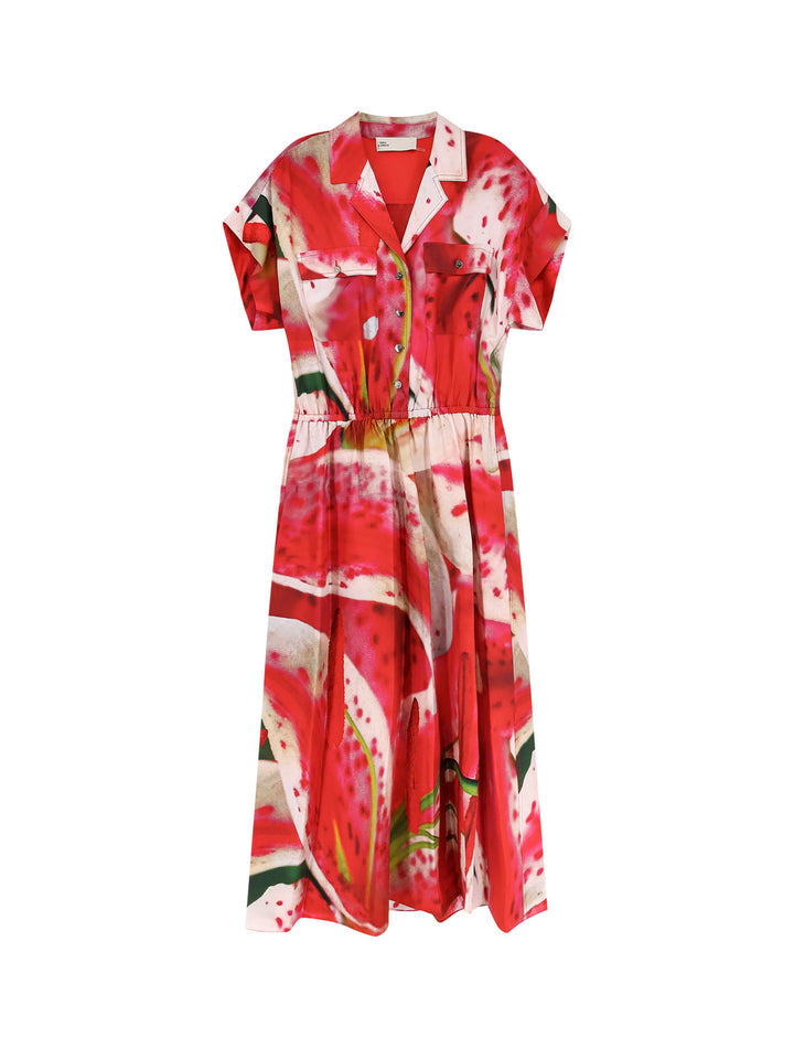 Printed Silk chemisier/dress Printed Silk chemisier/dress