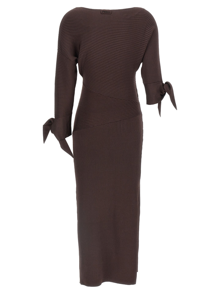 Pinko Brina Dresses - Brown | db07147747256501f6d0de2e9dbd2c9bab2d0491