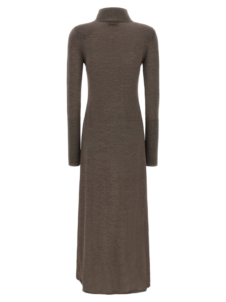 Pinko Turtleneck Dress Dresses - Beige | a77c54a66b462635e1169e4ed8edcec0f13d4383