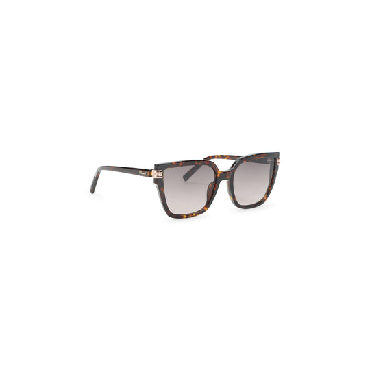 Sunglasses Brown