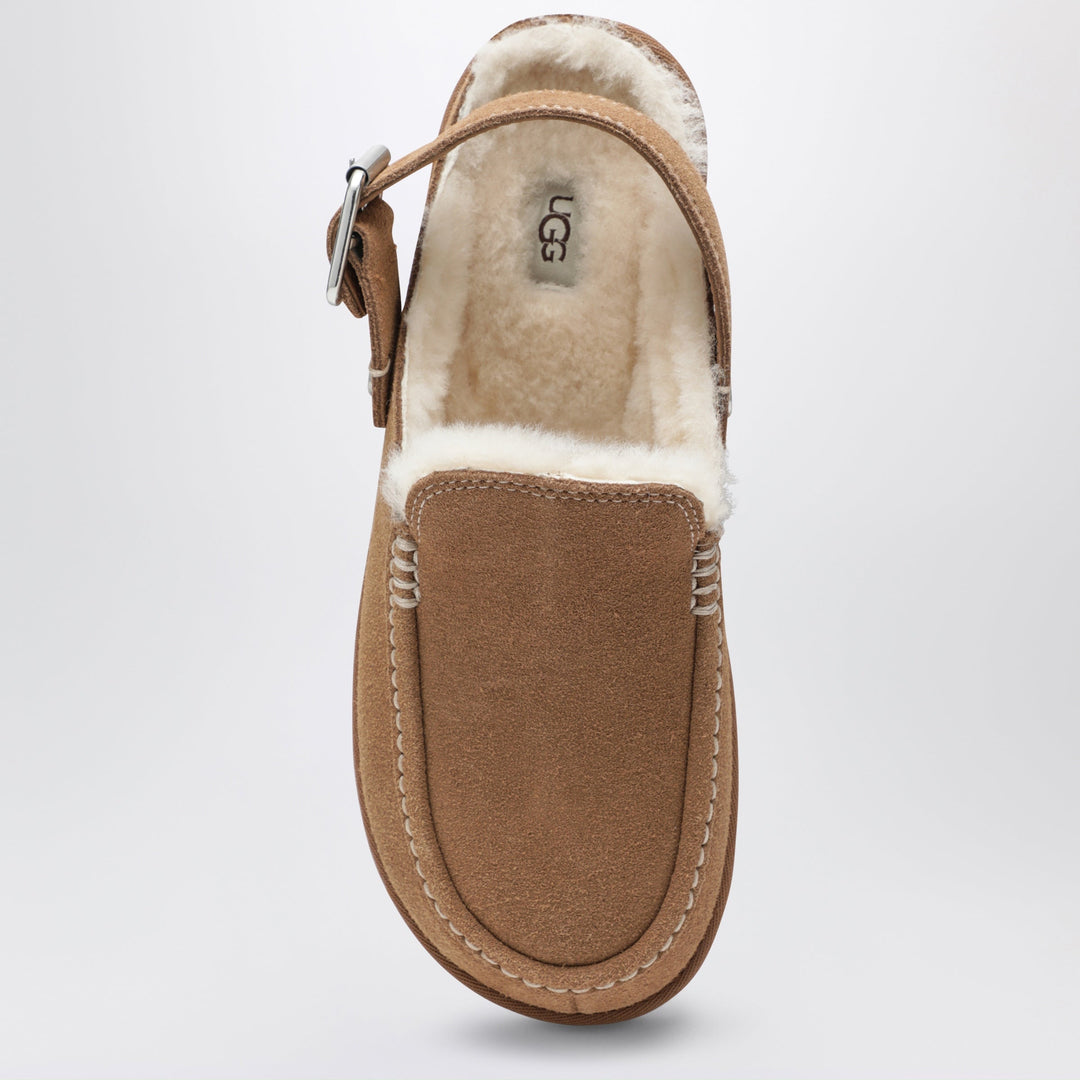UGG Goldenstar Evelina Chestnut Suede Sabot