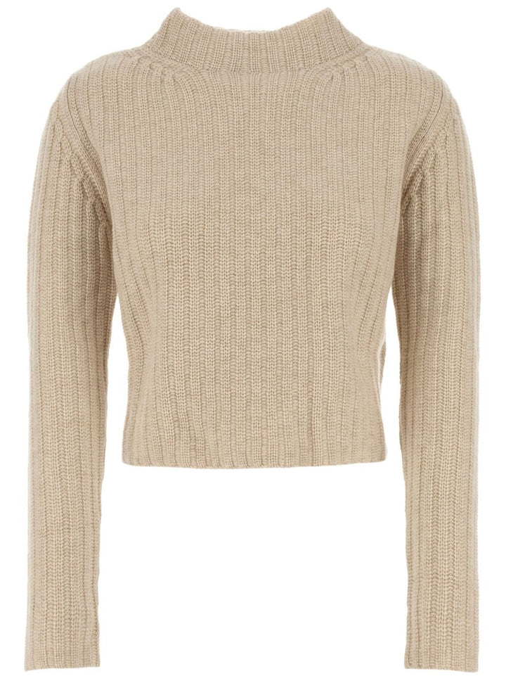 Max Mara Sweaters -  | 2482467af1f158115d39b98fc2fa79550b625dfb