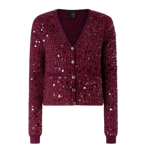 Pinko Sweaters - Brown | 0b81c813e8554d9d2b3274586147fafbb17dc910