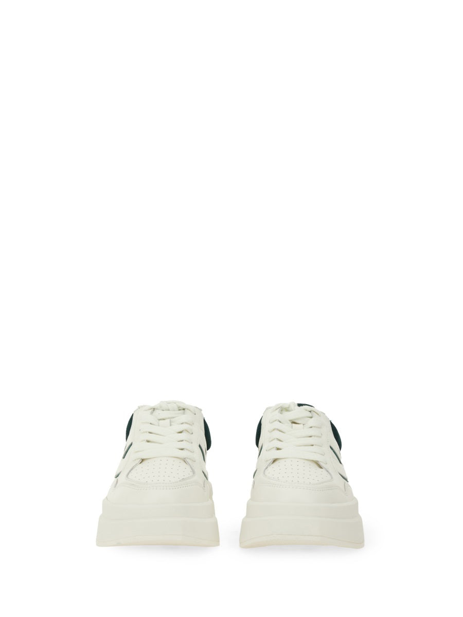 Ash Sneakers - White | Wanan Luxury