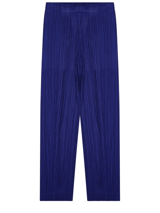 Pleated Pants