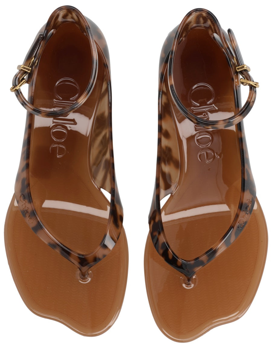 ChloÉ HEELS - Brown | 0801d9c561bb1e7dd02f8507760ecaeda9b664c9