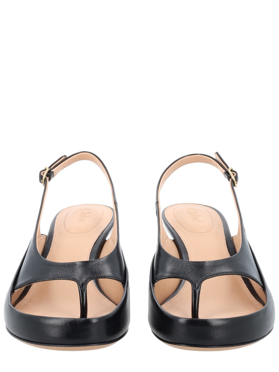 ChloÉ HEELS - Black | a041e10a5b47a5b8017e66b839ba0275650bd43a