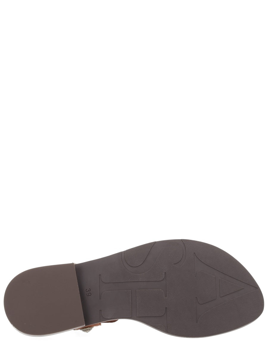 Ash Sandals - Brown | 4f91f67a31cadf2dd6e61d714db66b5736028205