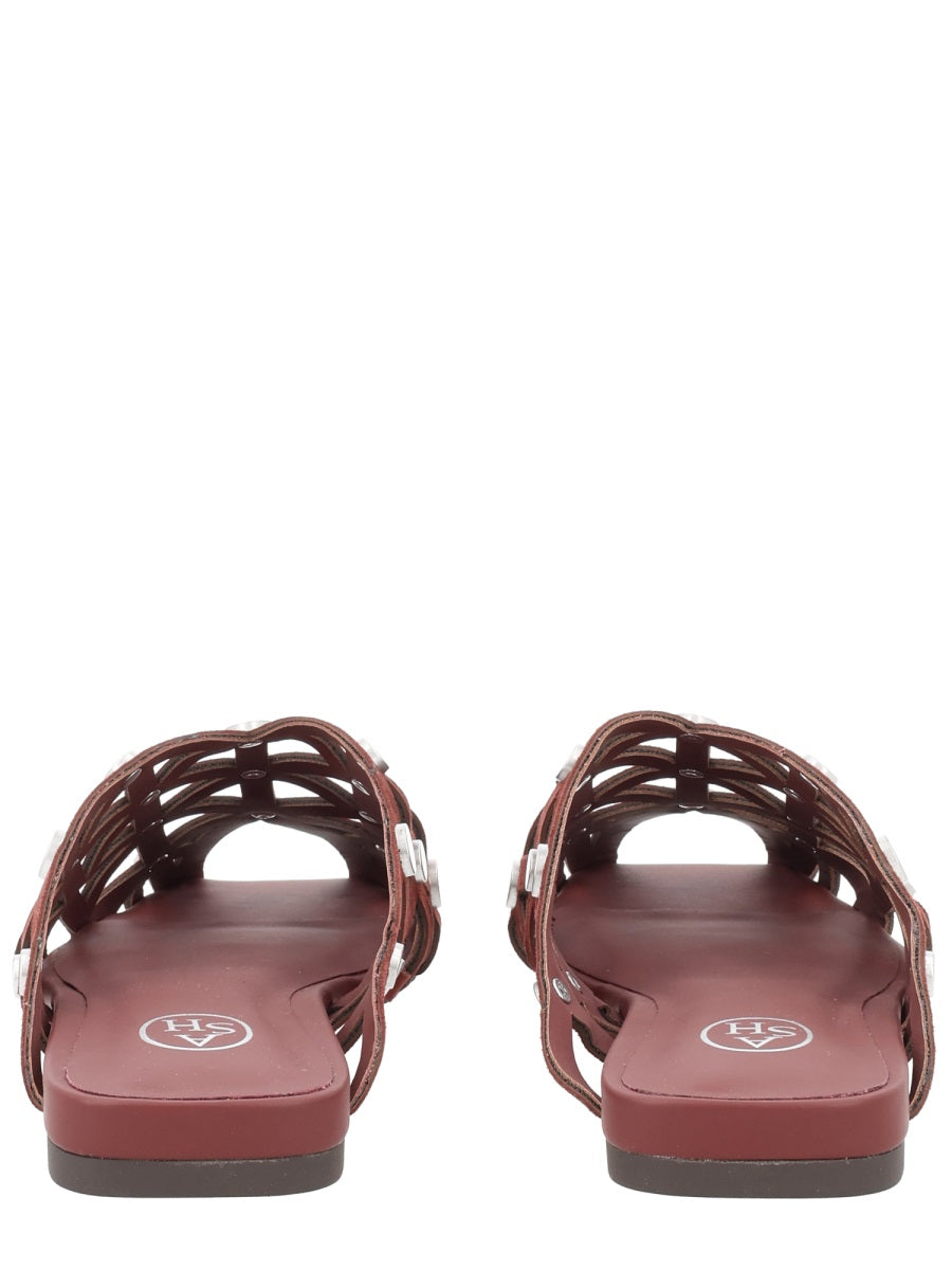 Ash Flat Shoes - Brown | fd5823cec50168e1b4f539bbf27102acc6862ac3