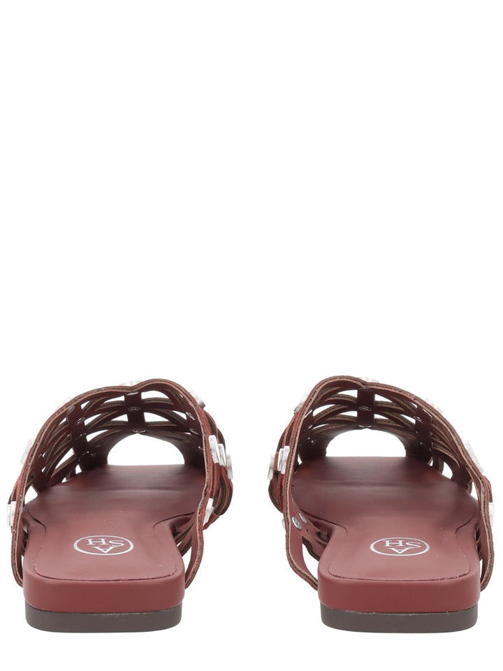 Ash Flat Shoes - Brown | fd5823cec50168e1b4f539bbf27102acc6862ac3