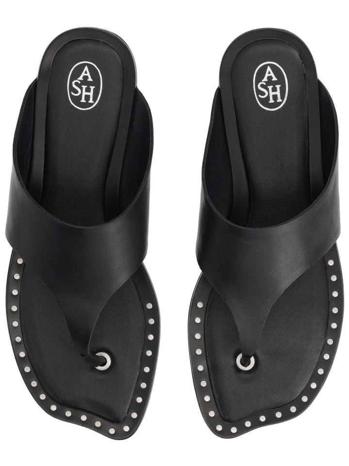 Ash Flat Shoes - Black | d15d8a641005e80943a4009c5ad5577c250f5984