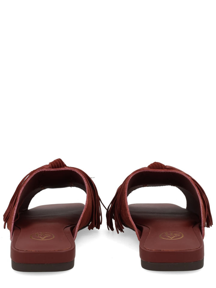 Ash Flat Shoes - Brown | 53e0d7adbe6f6acf0e6526bf7bb527167c2025c6