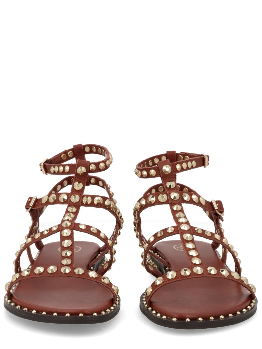 Ash Sandals - Brown | e8cd036600212839955afdd4ec9e7f6a5760deff