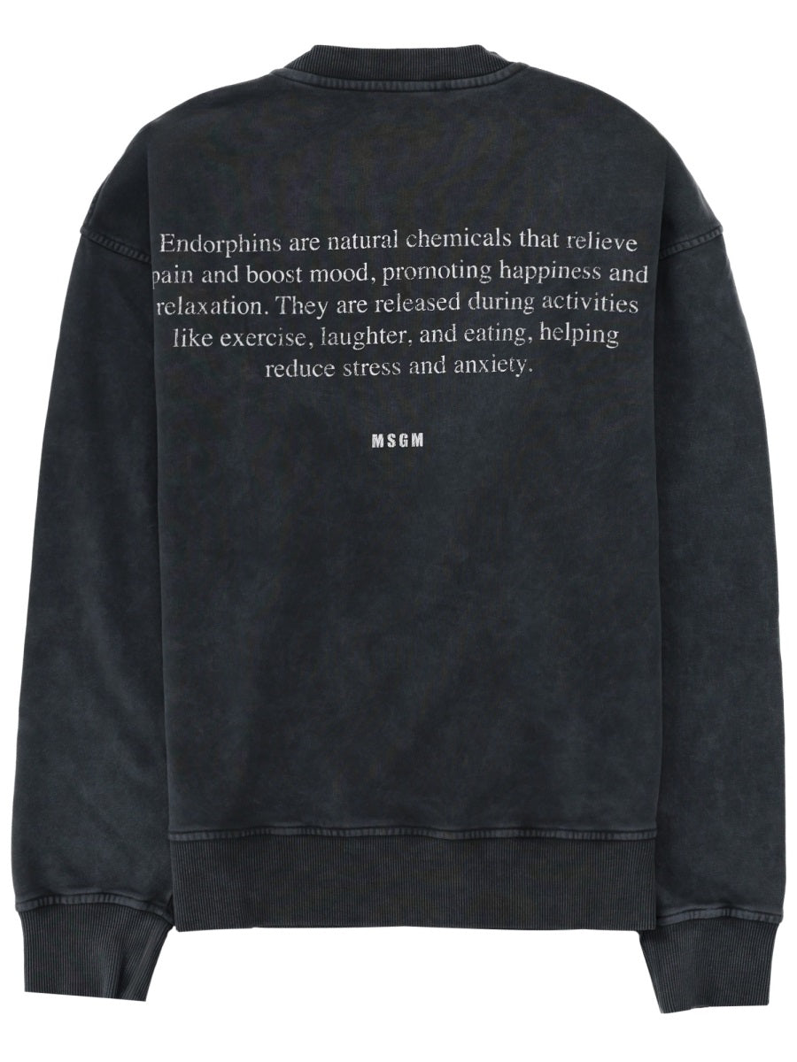 Msgm Sweatshirts - Charcoal | 56b3b454fe5b85ca0bcff267829c472eeb4c0f2e
