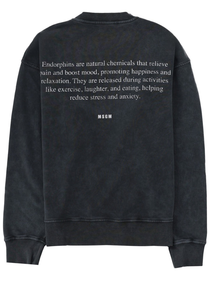 Msgm Sweatshirts - Charcoal | 56b3b454fe5b85ca0bcff267829c472eeb4c0f2e