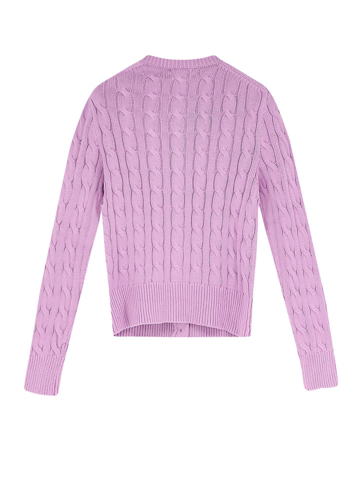 Polo Ralph Lauren Sweaters - BRIGHTASTER | bd9b54d751953e73a5f2bb4a6ee7d137832c861c