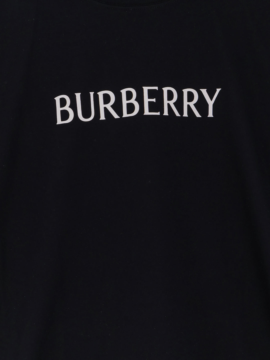 Burberry T-shirts and Polos - Blacks and greys | 8f355b18901e9cfa46b0f5e8aa7ddd93f85be27e