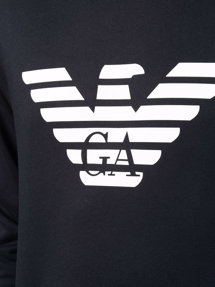 Emporio Armani Sweaters - Blue and green | 4cadd134d7d02a0c01eb828a5aadbd4a5fe328ec