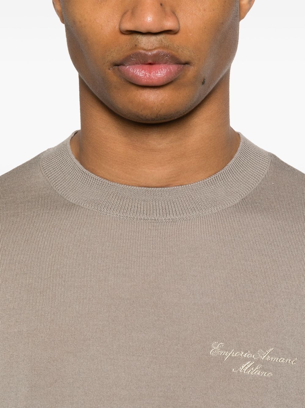 Emporio Armani Sweaters - Brown | c9ffadc157db44379012f997bbf685bc009da1c4