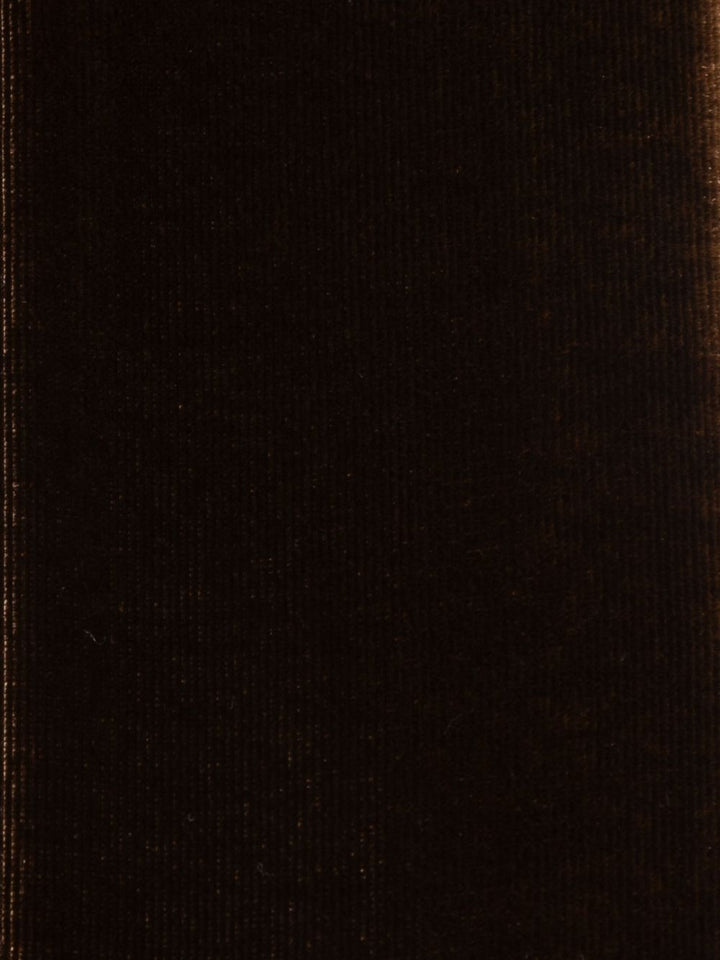 Emporio Armani Scarfs - Brown | 73cf18d3073b99477c1bd42b6bf70d4d93ddb120