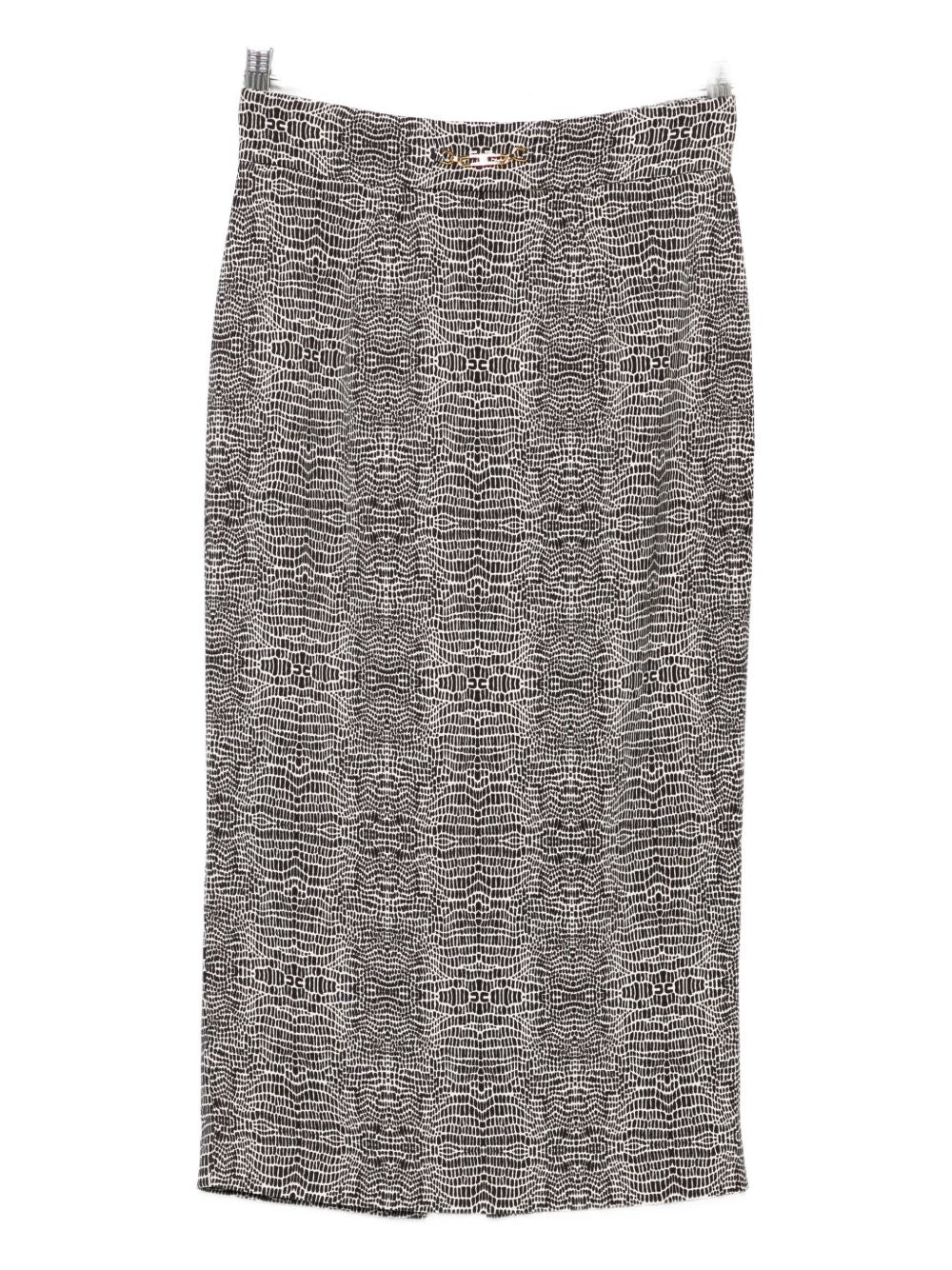 Elisabetta Franchi Skirts - Blacks and greys | 8d029b98fc6f4c3528270869adffd73487f4e10c