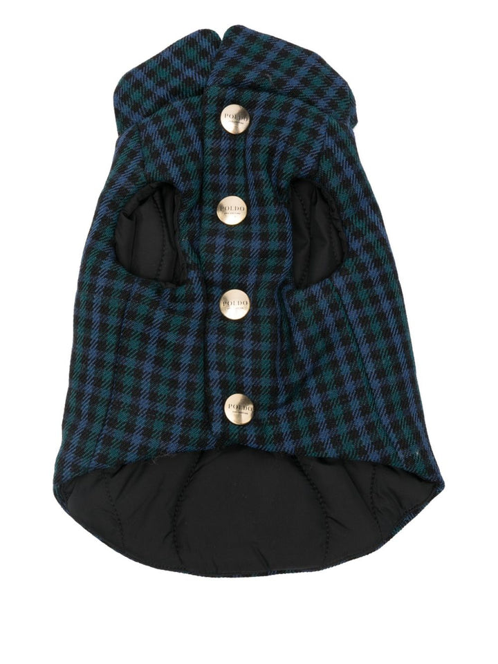 Poldo Dog Couture Accessories - Blue and green | 29fd13d06540797735138c2ee9008a89c6e0fa10