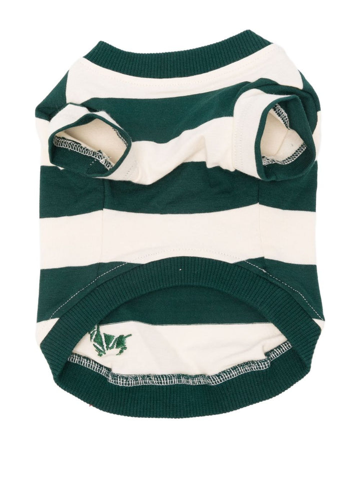 Poldo Dog Couture Accessories - Blue and green | 4a05b00b99405d6a74f5e4c4948180247edc1ce1