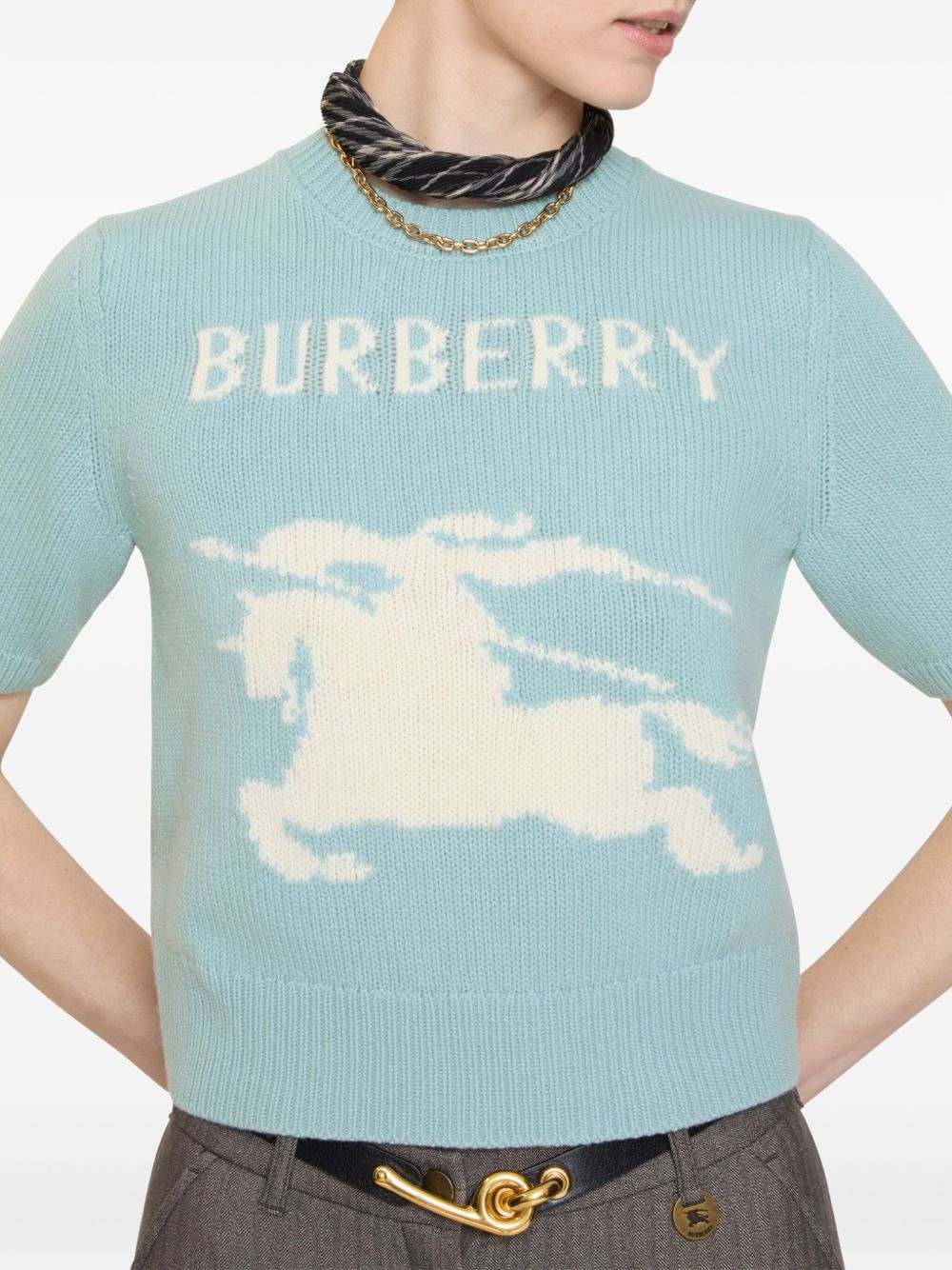 Burberry T-shirts and Polos - Blue and green | 94f1569b1acb5a36dd4567870bff1df65d71fbdb