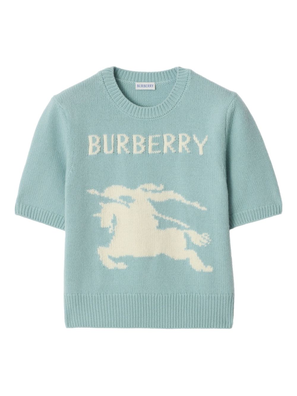 Burberry T-shirts and Polos - Blue and green | be819f4e3452e0d99c5e63419af7871e271cb52d