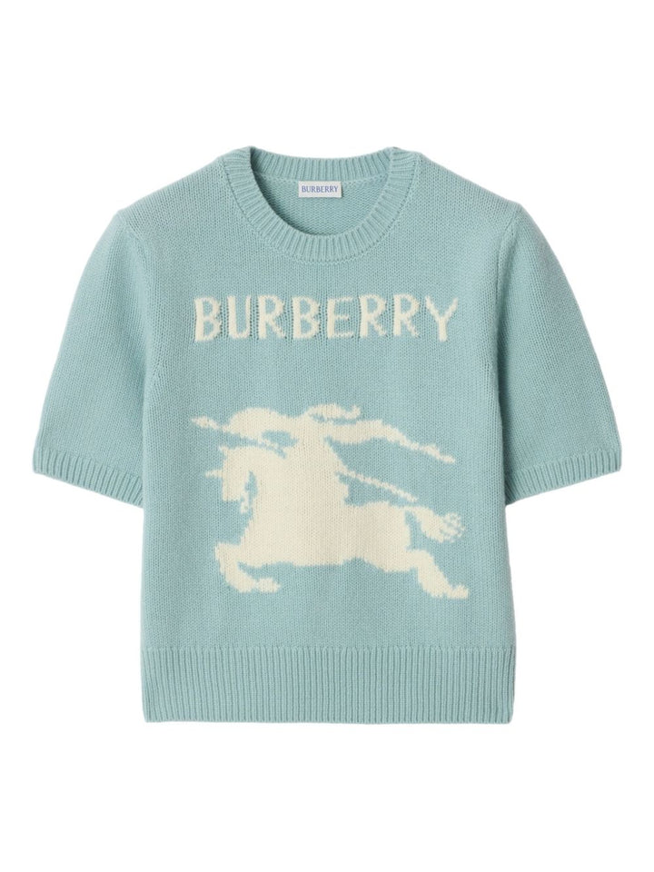 Burberry T-shirts and Polos - Blue and green | be819f4e3452e0d99c5e63419af7871e271cb52d