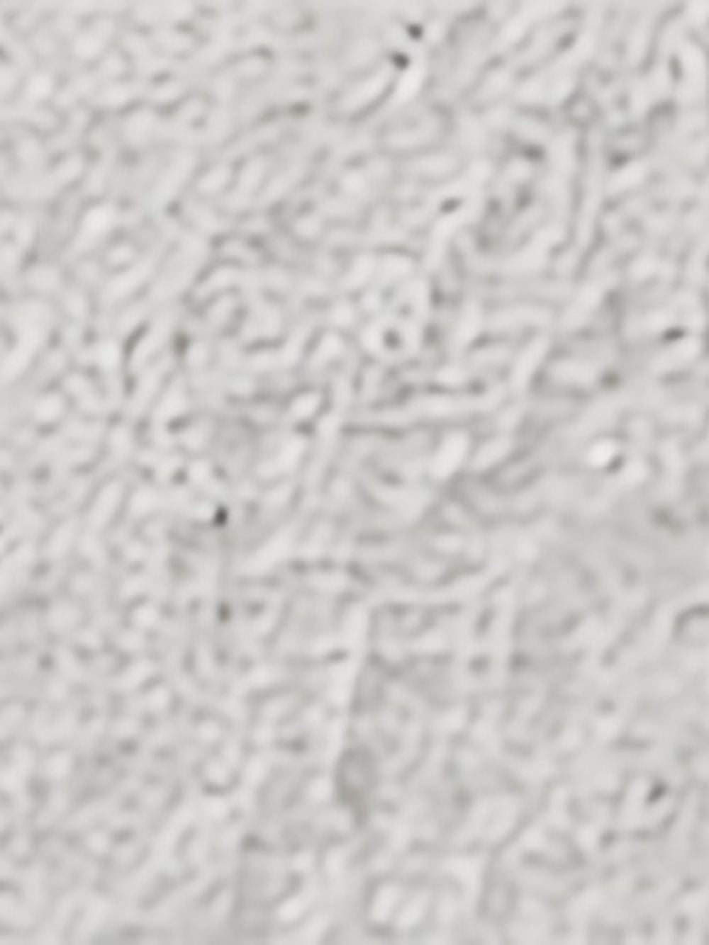 Stella Mccartney Bags - Blacks and greys | b18e431796e848995f724ec5ba1e8c64628b25f3