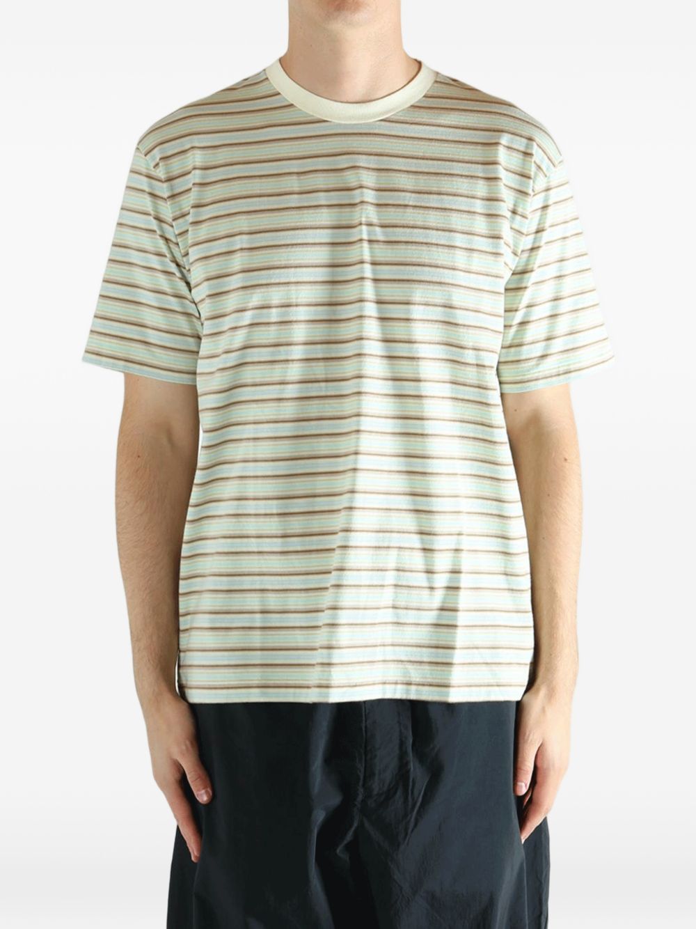 Auralee T-shirts and Polos - Blu e verdi | 6f6dfae84e5faca8e25ff582a75a738b7a66dd88