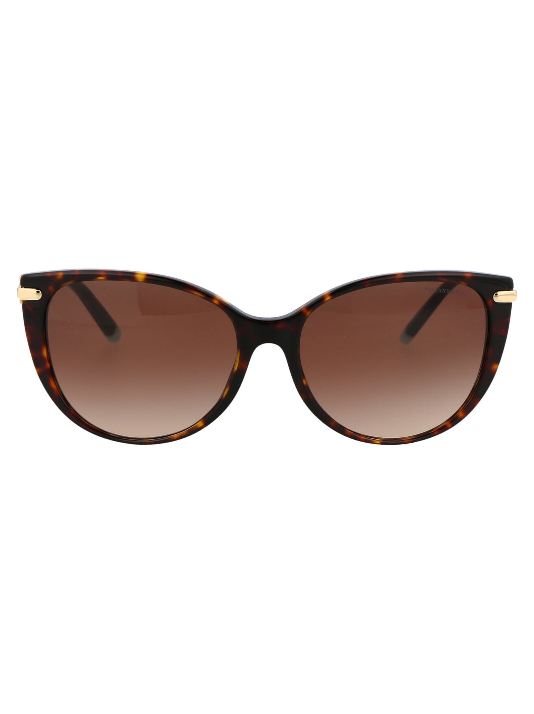 Tiffany & Co 0TF4178 Cat-Eye Sunglasses
