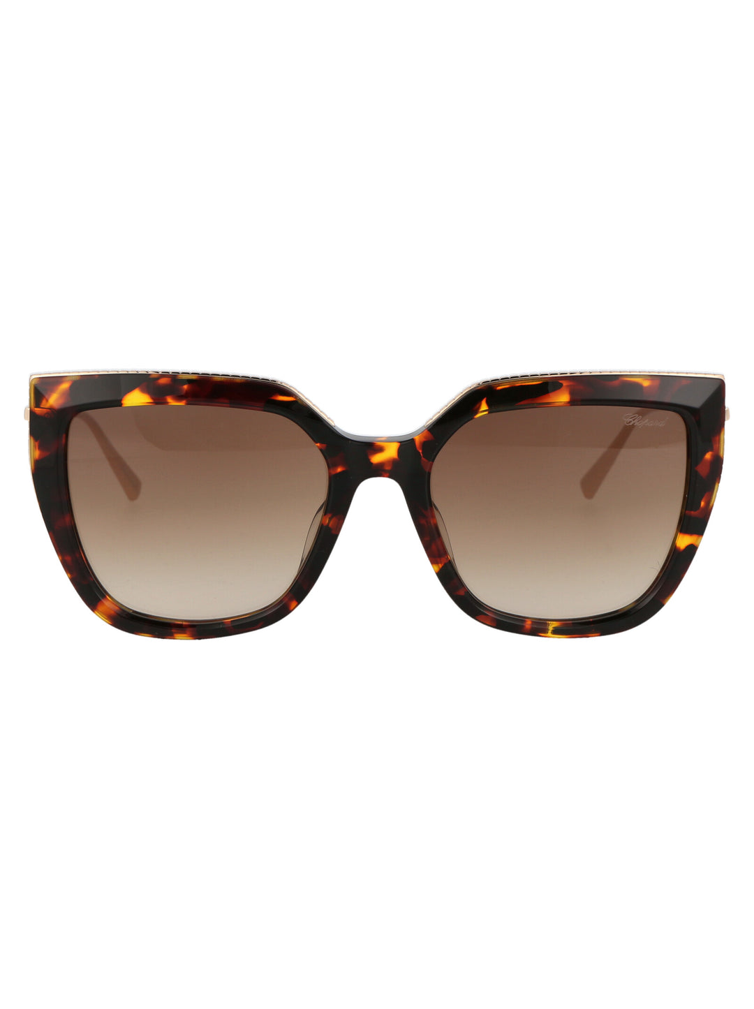 Chopard SUNGLASSES - Brown | 763e89a73016251ff5224836aca6a190598f7326