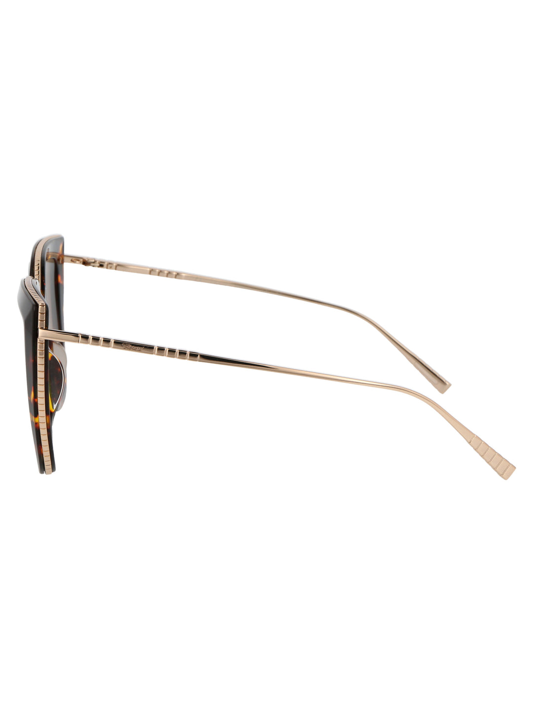 Chopard SUNGLASSES - Brown | 4c43d65935339fa8c38dd3116c76108ca02852d8