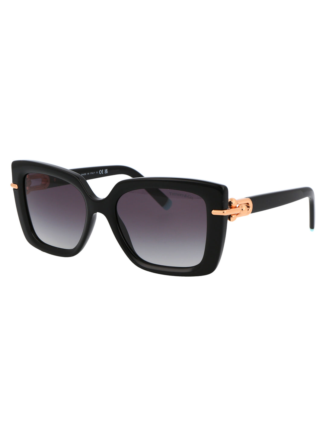 Tiffany & Co SUNGLASSES - Black | 89634df88751da7425b9d58e5c4095b1abdb1098
