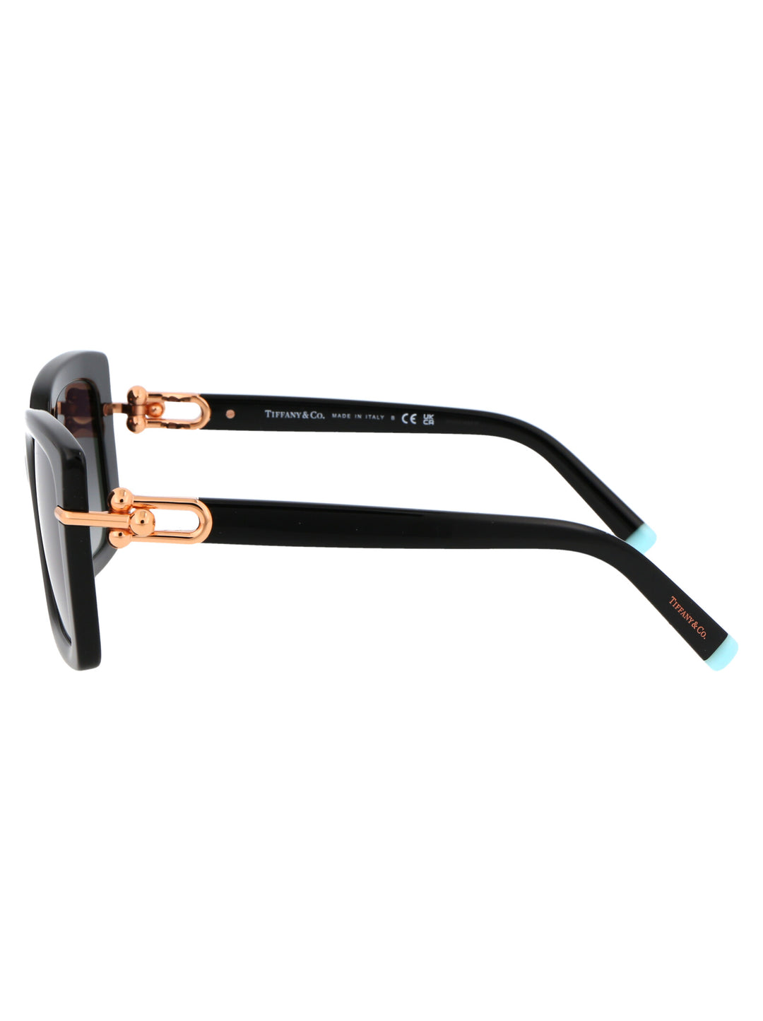 Tiffany & Co SUNGLASSES - Black | 580583c83ba7042d87be068af5dddfced87b5b99